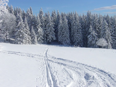 Wiese unterhalb der Schmücke media/thw/1703/loipe_64772046_1.jpg
