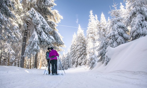Auf dem Skiwanderweg Rennsteig media/thw/1703/loipe_64772073_1.jpg