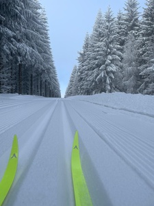 nordic aktive Zentrum Schiefergebirge media/thw/1708/loipe_64772941_1.jpg