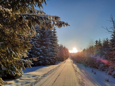 nordic aktive Zentrum Schiefergebirge media/thw/1708/loipe_64772985_1.jpg