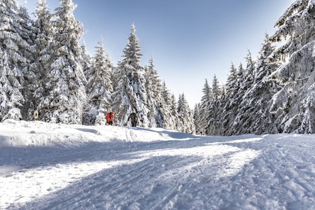 Auf dem Skiwanderweg Rennsteig media/thw/1709/loipe_64770917_1.jpg