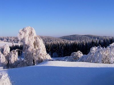 media/thw/1712/loipe_15545949_1.jpg